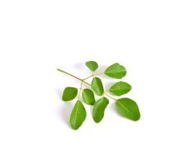 Bio Moringa Pulver